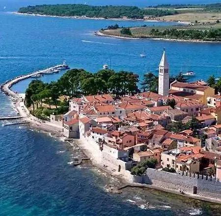 Apartamento In Novigrad/istrien 38451